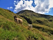 Cima Foppazzi (2097 m) e Cima Grem (2049 m) da Alpe Arera -22ag22- FOTOGALLERY